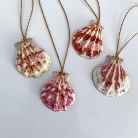 Handmade Natural Seashell Pendant Necklace – Adjustable Cord