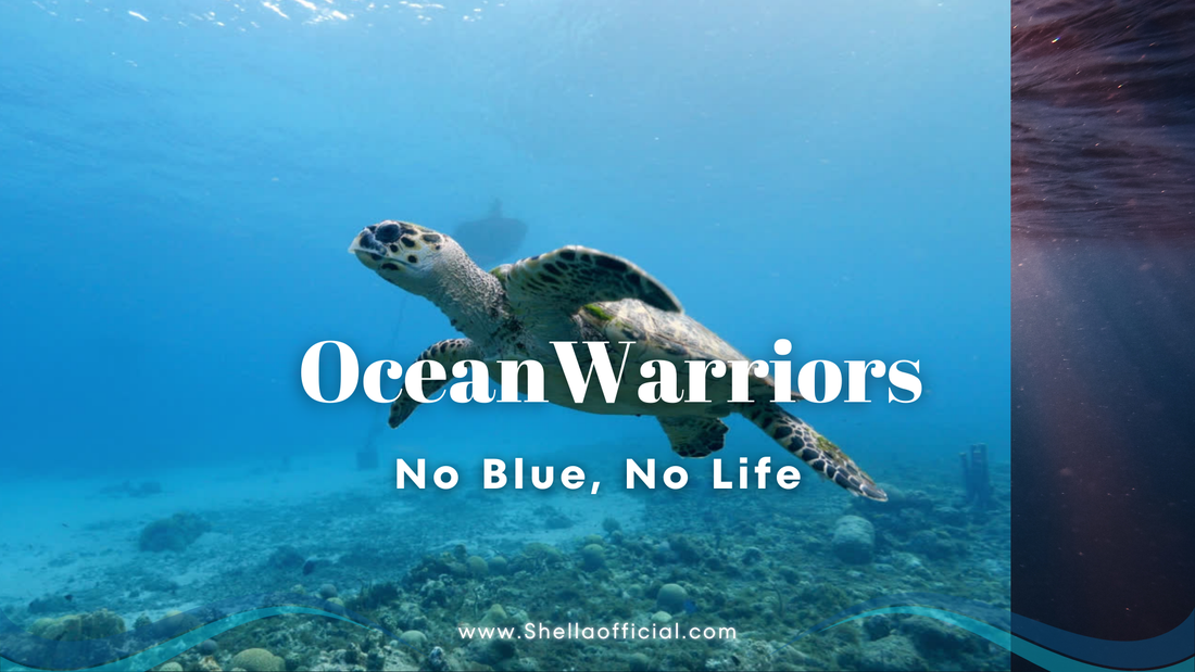 Preserving Ocean Beauty: Protecting Coral Reefs & Sea Turtles