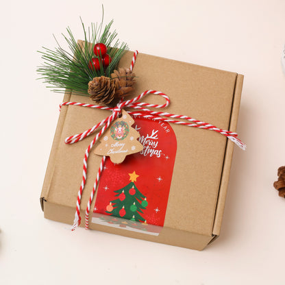 [9 Products] Christmas Seashell Gift Set – Handmade Holiday Beach-Inspired Gift Box