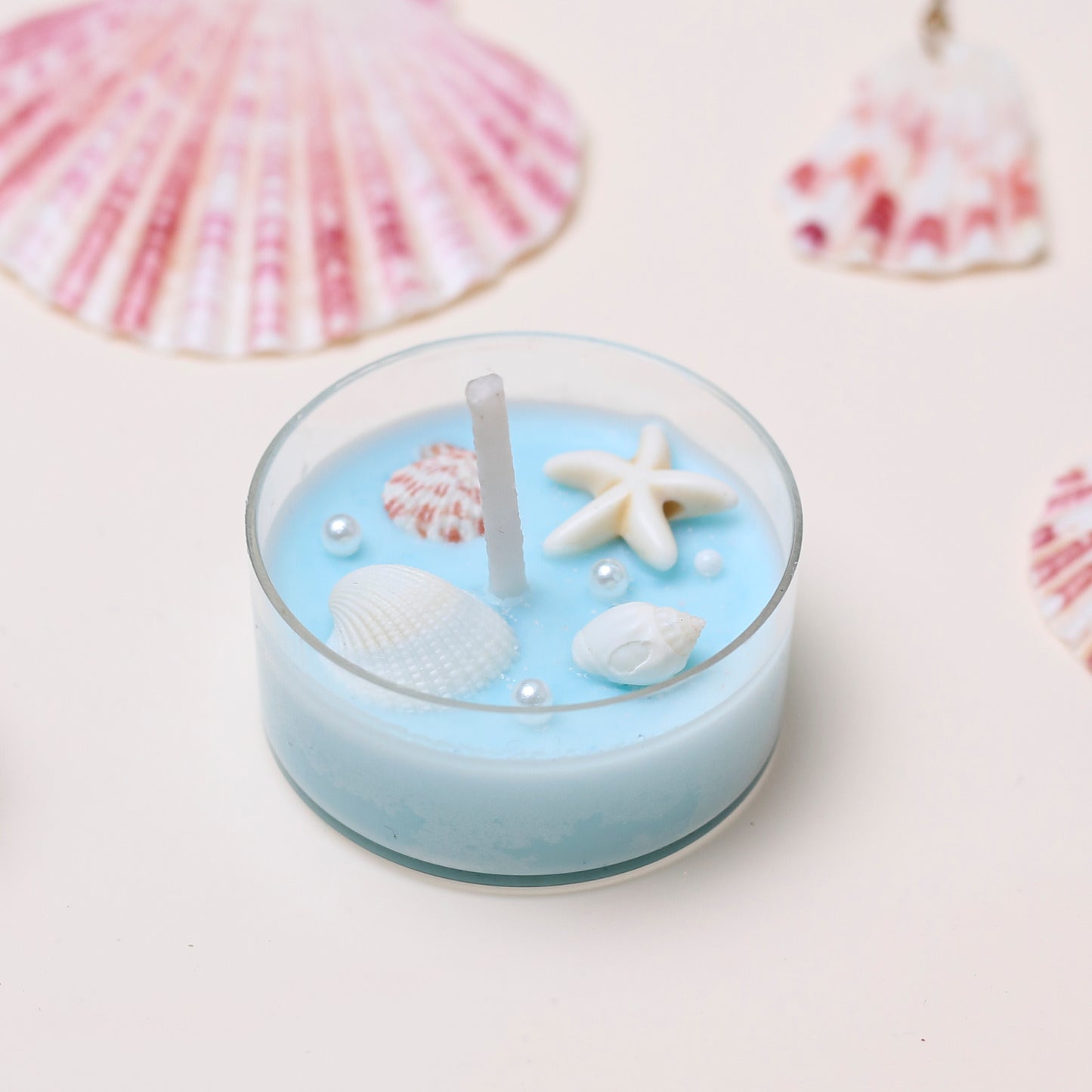 [9 Products] Christmas Seashell Gift Set – Handmade Holiday Beach-Inspired Gift Box