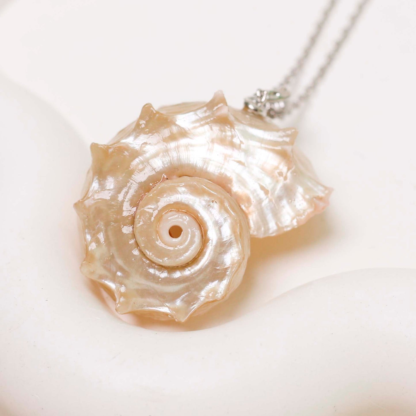 Natural Spiral Shell Pendant Necklace – Ocean-Inspired Jewelry