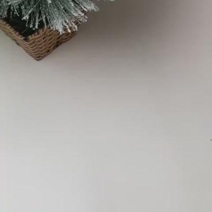 [9 Products] Christmas Seashell Gift Set – Handmade Holiday Beach-Inspired Gift Box